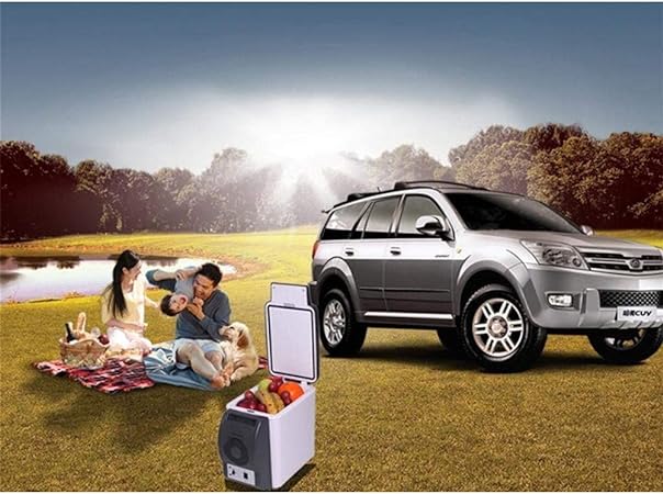 Frigider auto, 6L 12V Mini Frigider electric Încălzitor Frigider portabil Frigider pentru călătorii, camping, picnic